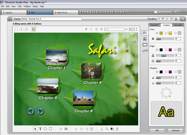 Menus, chapters and publishing